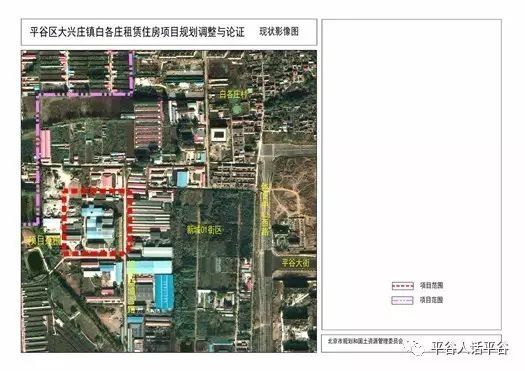 平谷区最新动态速递