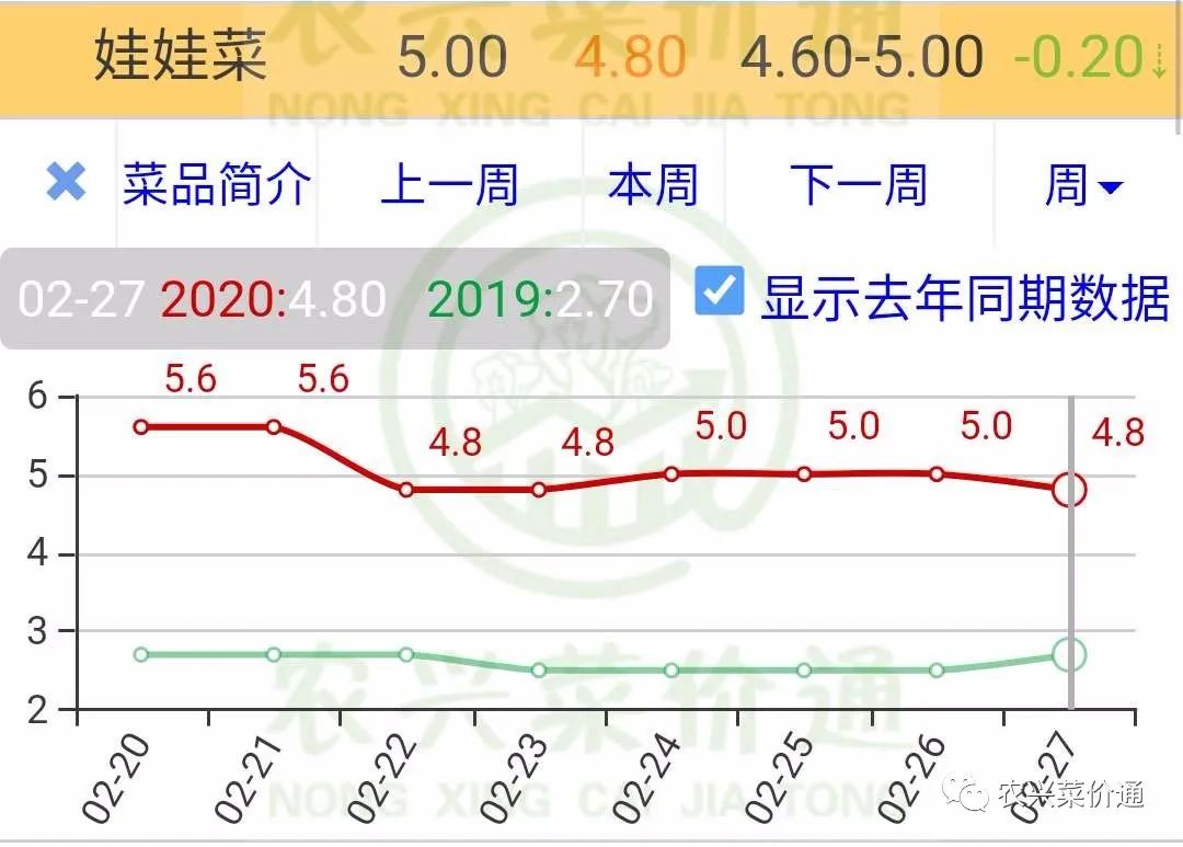 娃娃菜价格行情最新分析