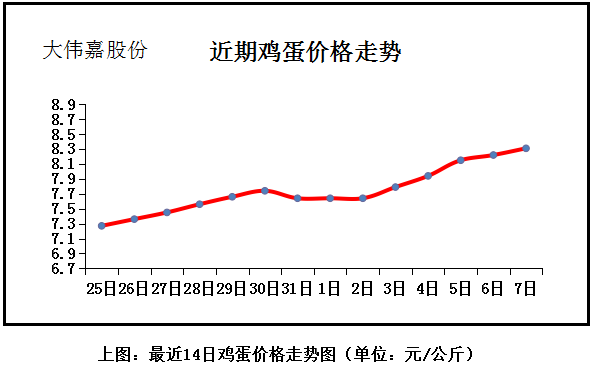 今日全国蛋价概览，市场走势分析与预测